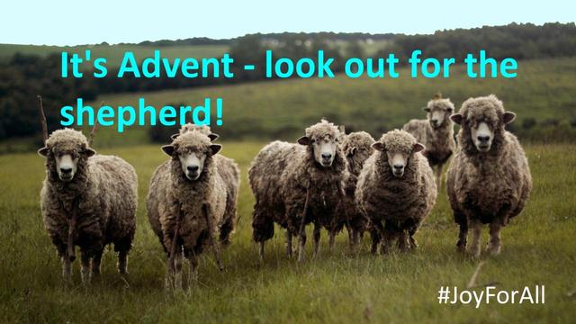 Sheep in a field with blue sky. Grass in the foreground rising to a grass and tree hillside in the background. Caption reads, It's Advent - look out for the shepherd!