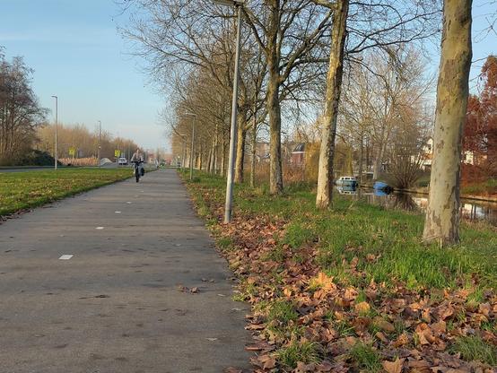 Maarten Toonderlaan vanaf stilstaande trike