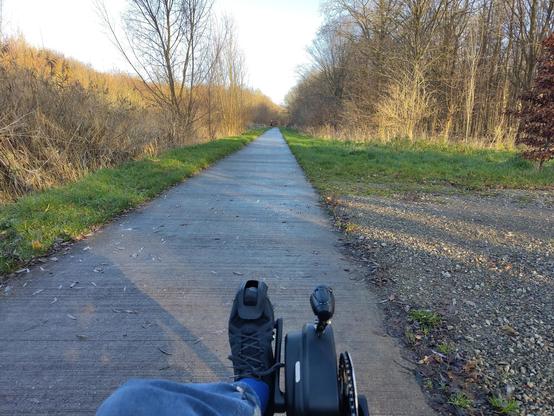 Almere Buiten Kotterbos