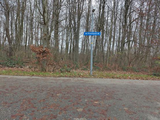 Het eind van het decemberpad.