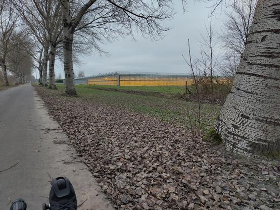 Het Wout Wagtmanspad, bij het kassengebied.