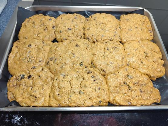 bakblik vol met 11 lichtbruine koekjes.