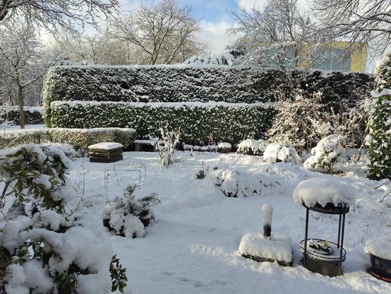 besneeuwde tuin met plekjes zonlicht.