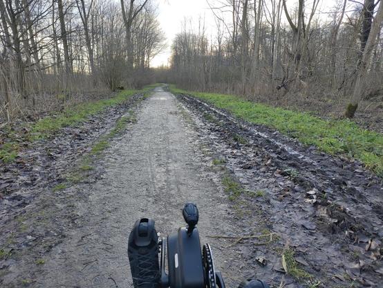 uitzicht vanaf de trike op een bos fietspad