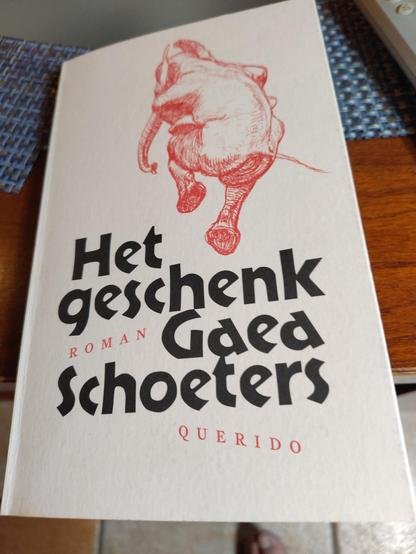 Boek: Gaea Schoeters: Het geschenk.