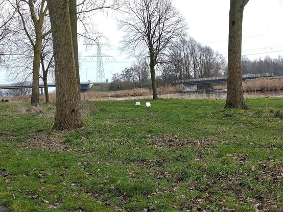 lage vaart, spectrumdreef