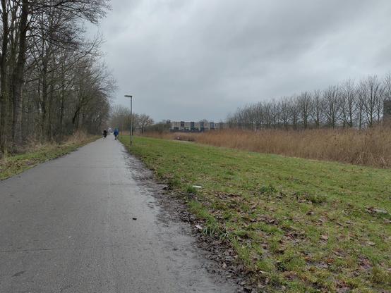 midden door de stripheldenbuurt