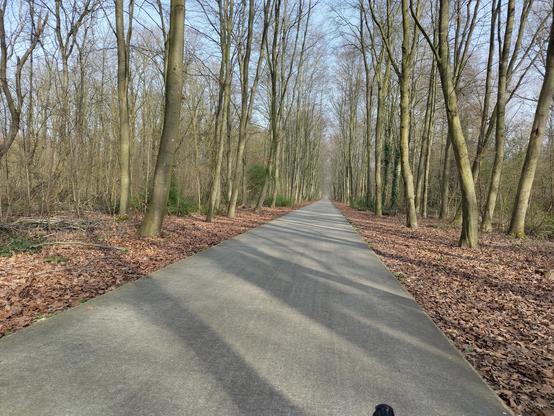tja, hoe heet dit stukje bos? Helemaal Oost Almere. op het Pirellipad.