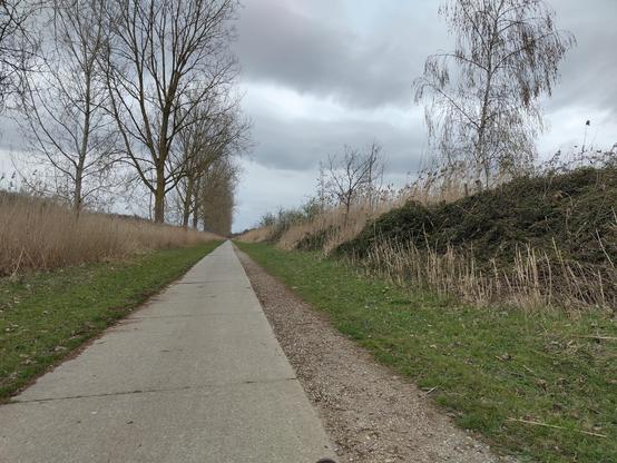 fietspad langs de Oostvaardersplassen
