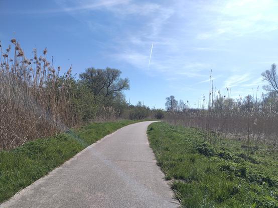 Flevolander: fietspad, moerasbos, bloeiende windmolen!s.