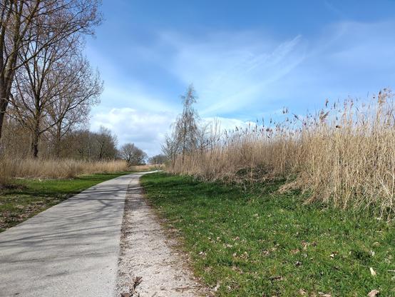 fietspad langs de Almeerse kant van de OVP