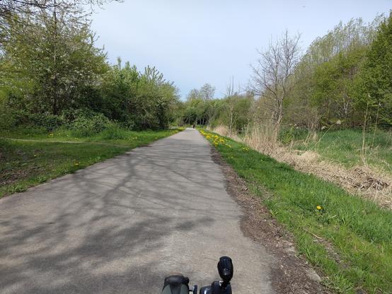 pad met paardebloemen