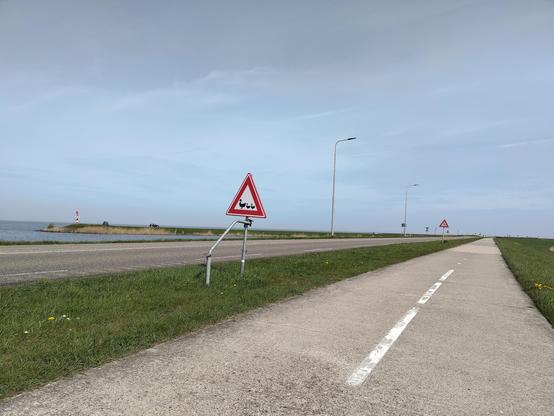 Kostbaarder stijl met waarschuwingsbord  dat wijst op overstekende ganzen en gansjes