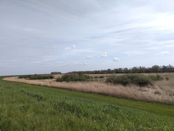 Oostvaardersplassen