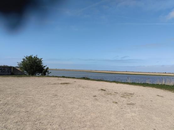 oostvaardersplas