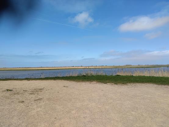 Oostvaardersplas