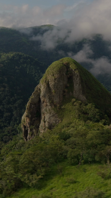 Mongabay (@mongabay@mastodon.green)