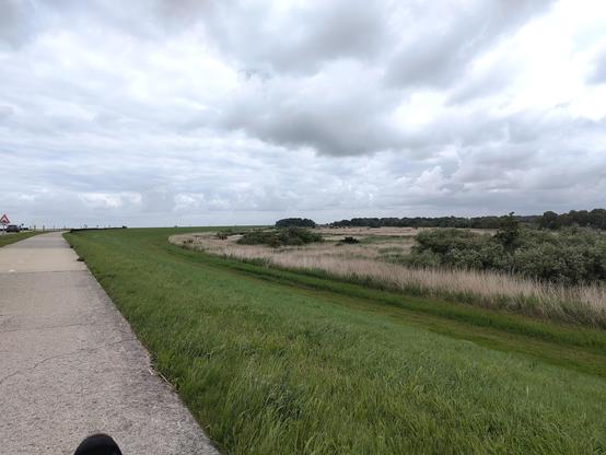 de oostvaardersdijk