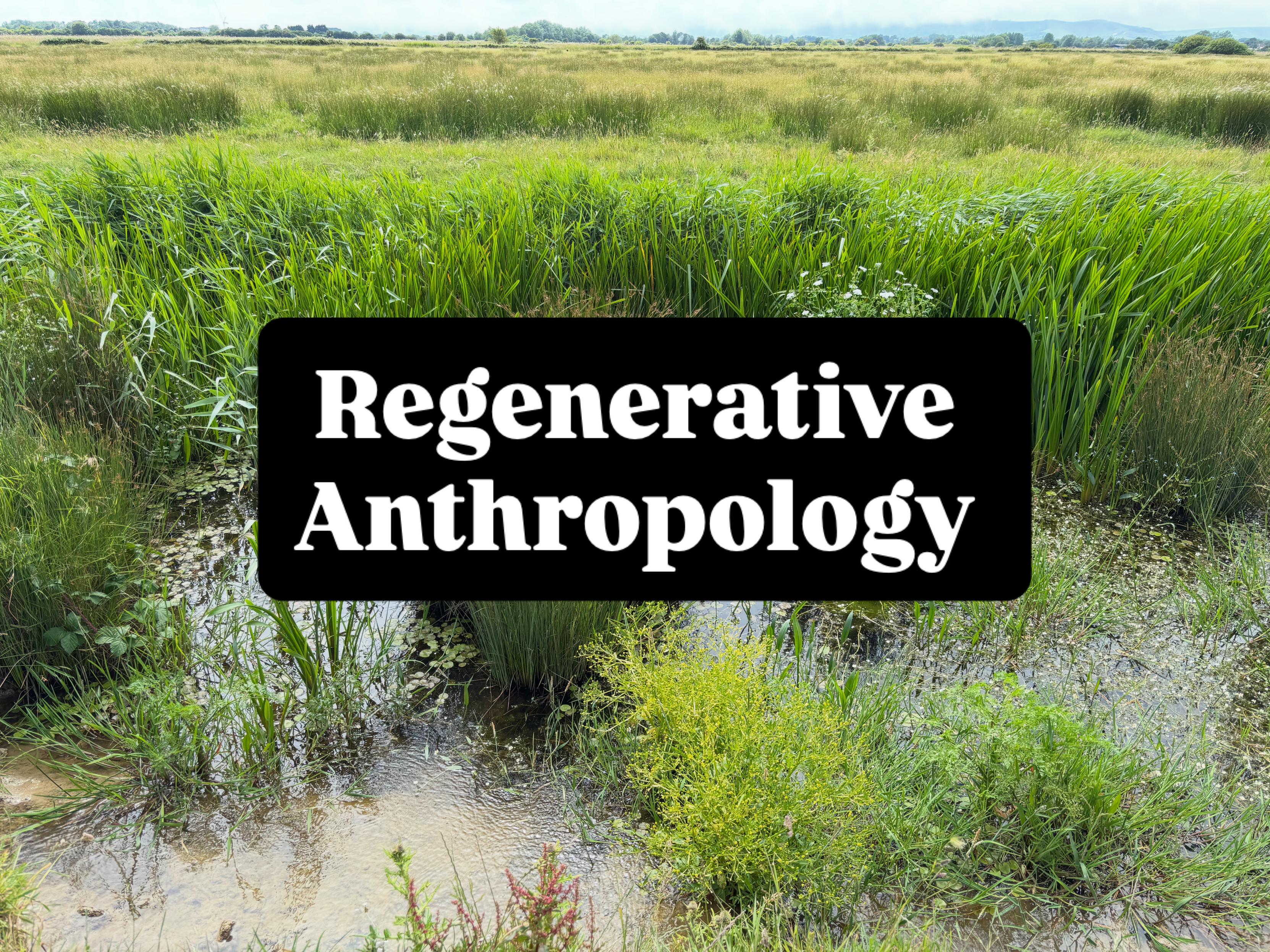Wetland picture, swamp, lots of of different grasses, horizon just visible in background 
This text on top:

Regenerative
Anthropology