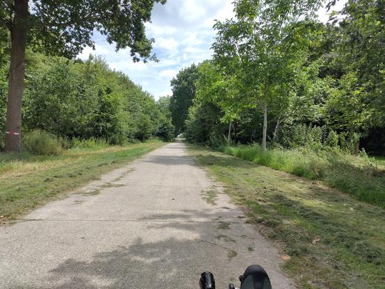 trike in park