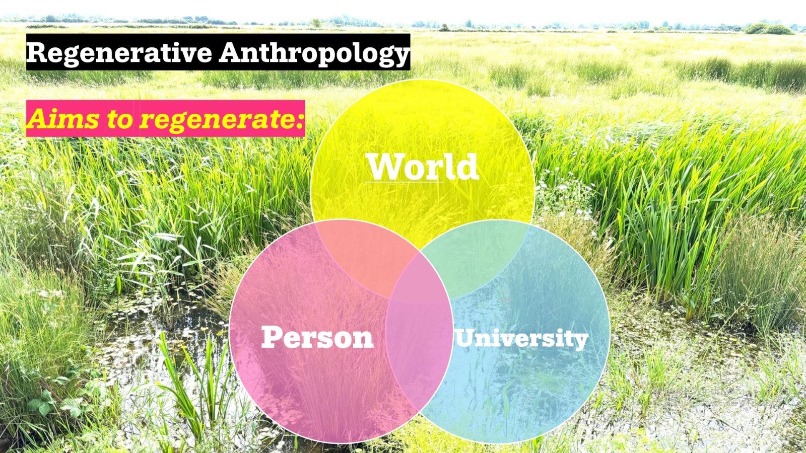 Background photo of a swamp, on this a venn diagram World, University, Person

Regenerative Anthropology
Aims to regenerate:
World
Person
University