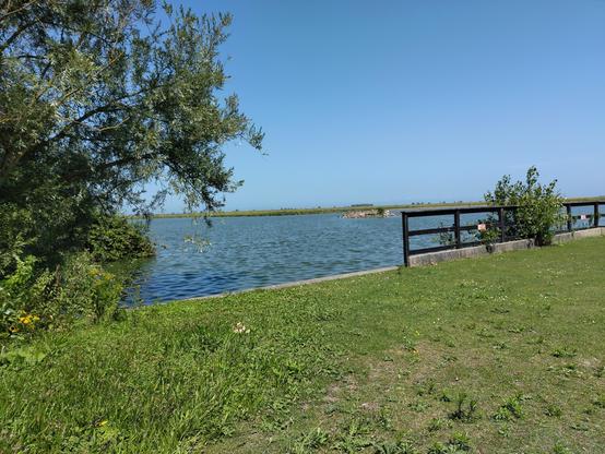 plas met eilandje