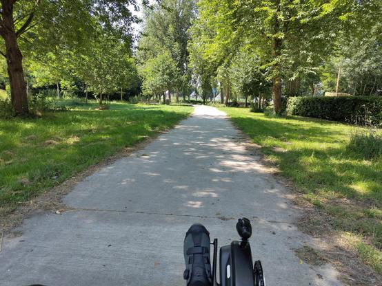 park