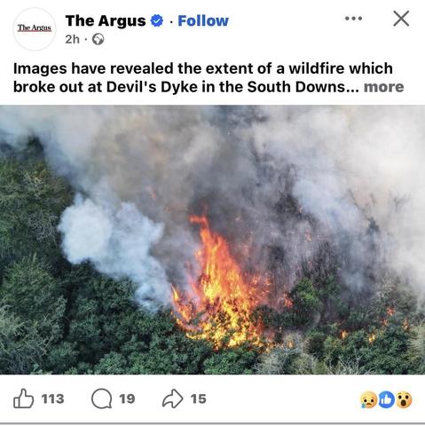 Posted media