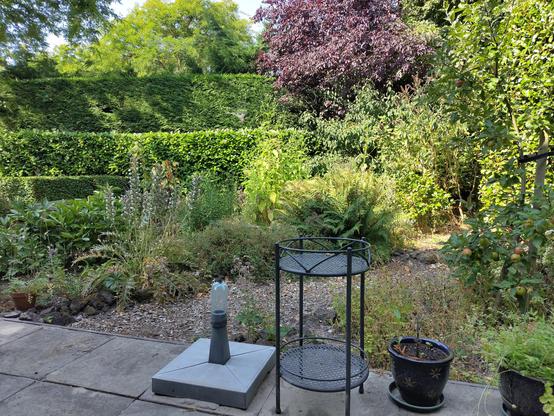tuin