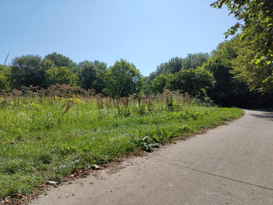 het Paradijsvogelpad