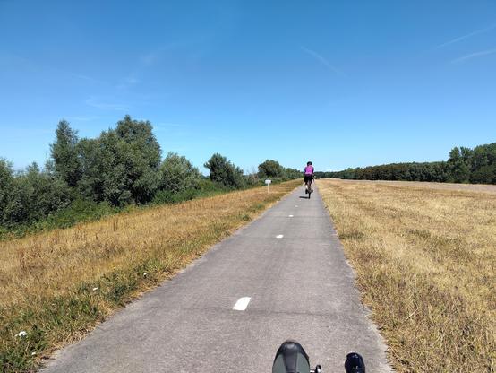 Knardijk