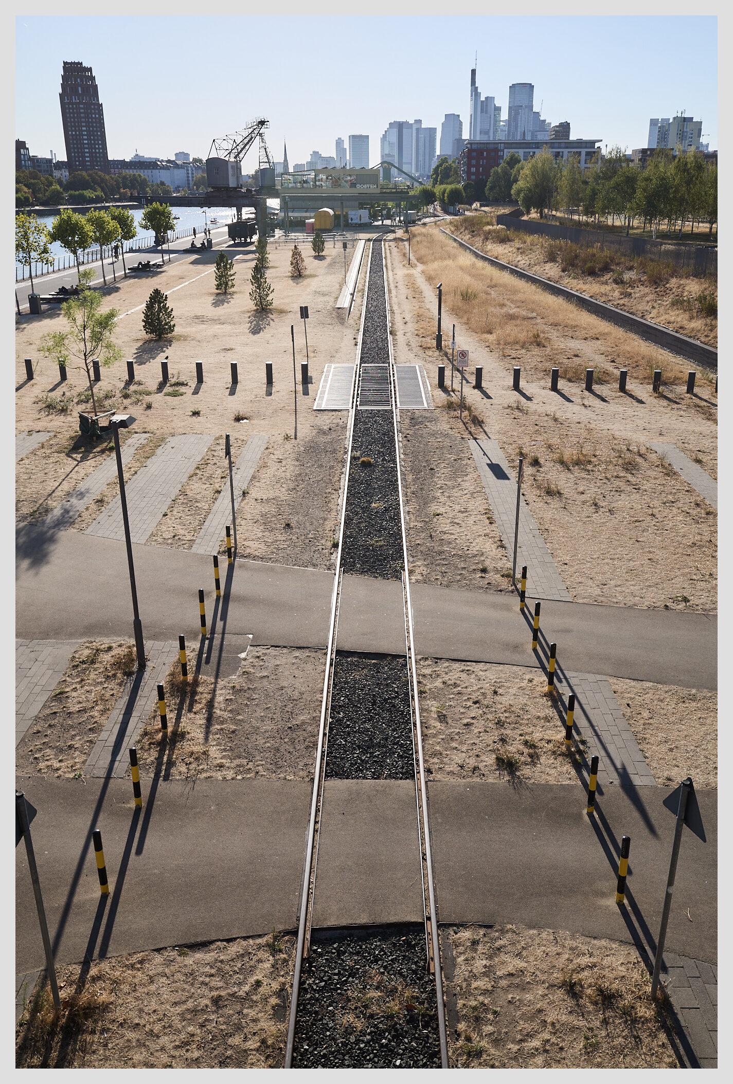 Wide vertical image of train tracks running parallel to the river Main in Frankfurt. The image is taken from an elevated view point. The ground around the tracks is brown and sandy, grass and shrubs have been dried out by the heat. The tracks lead the view straight to the city's skyline.