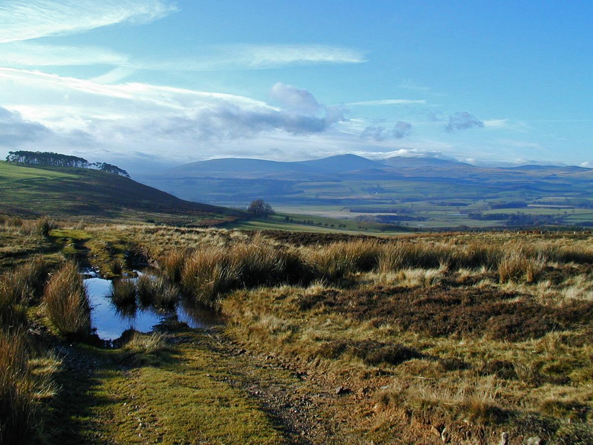 Looking along a puddled moorland track past a low hill with a small plantation on it to distant hills.