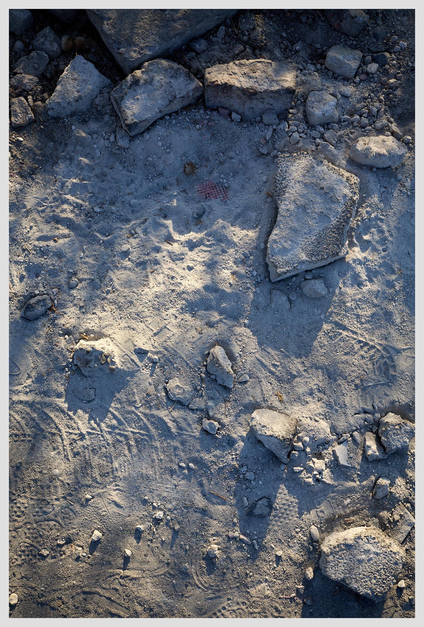 Vertical, top view closeup of a sandy patch of ground with small rocks and various footprints. The image is almost monochrome gray, only the warm sunlight adds a hint of color.