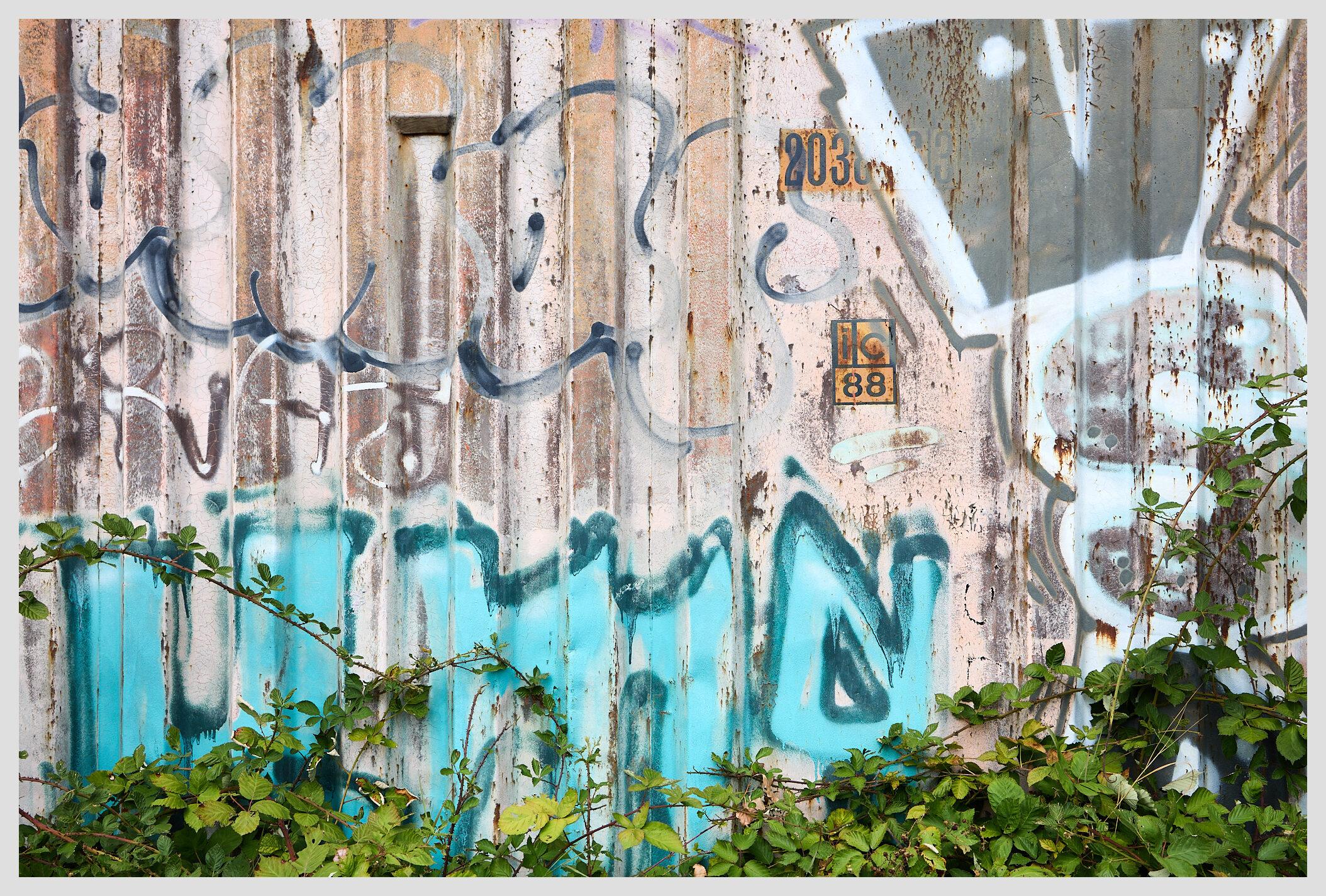 Flat horizontal image of an old freight container covered in layers of graffiti. At the bottom of the frame, vines are trying to creep up the side of the container, but failing.