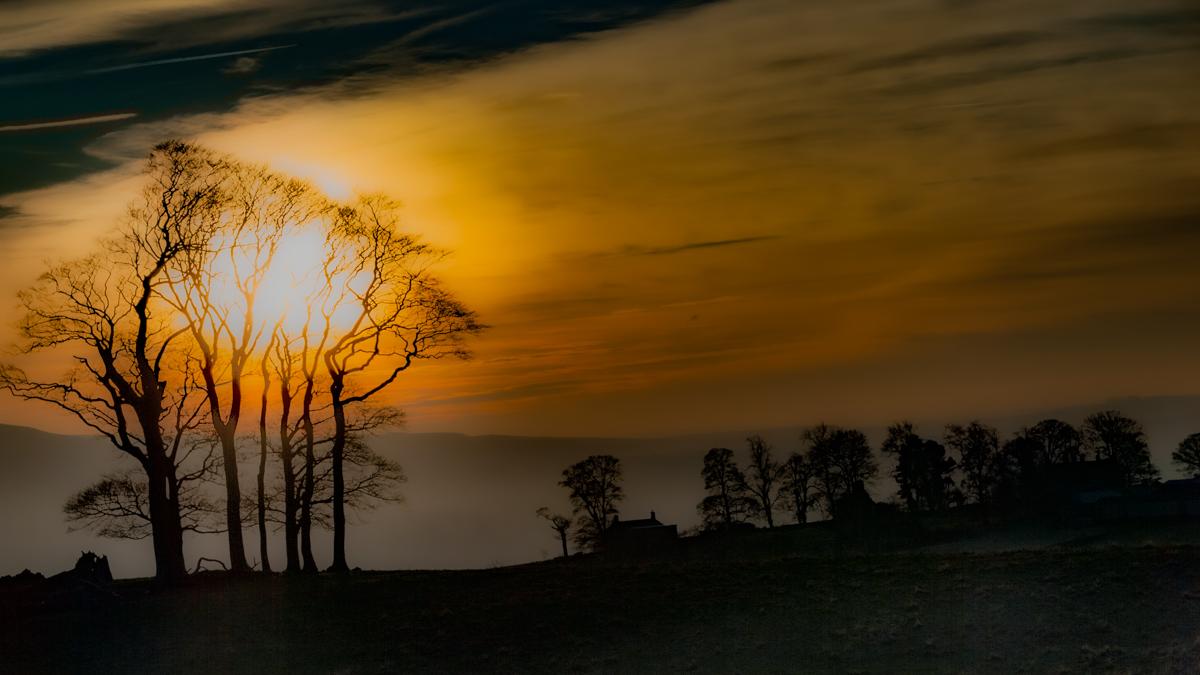 A photo looking straight into the sun at a winter sunset. The sun is behind a  group of tall trees on the left, to the right in the mid ground and farther away is a silhouetted line of trees and a house and in the distance a misty line of low hills.