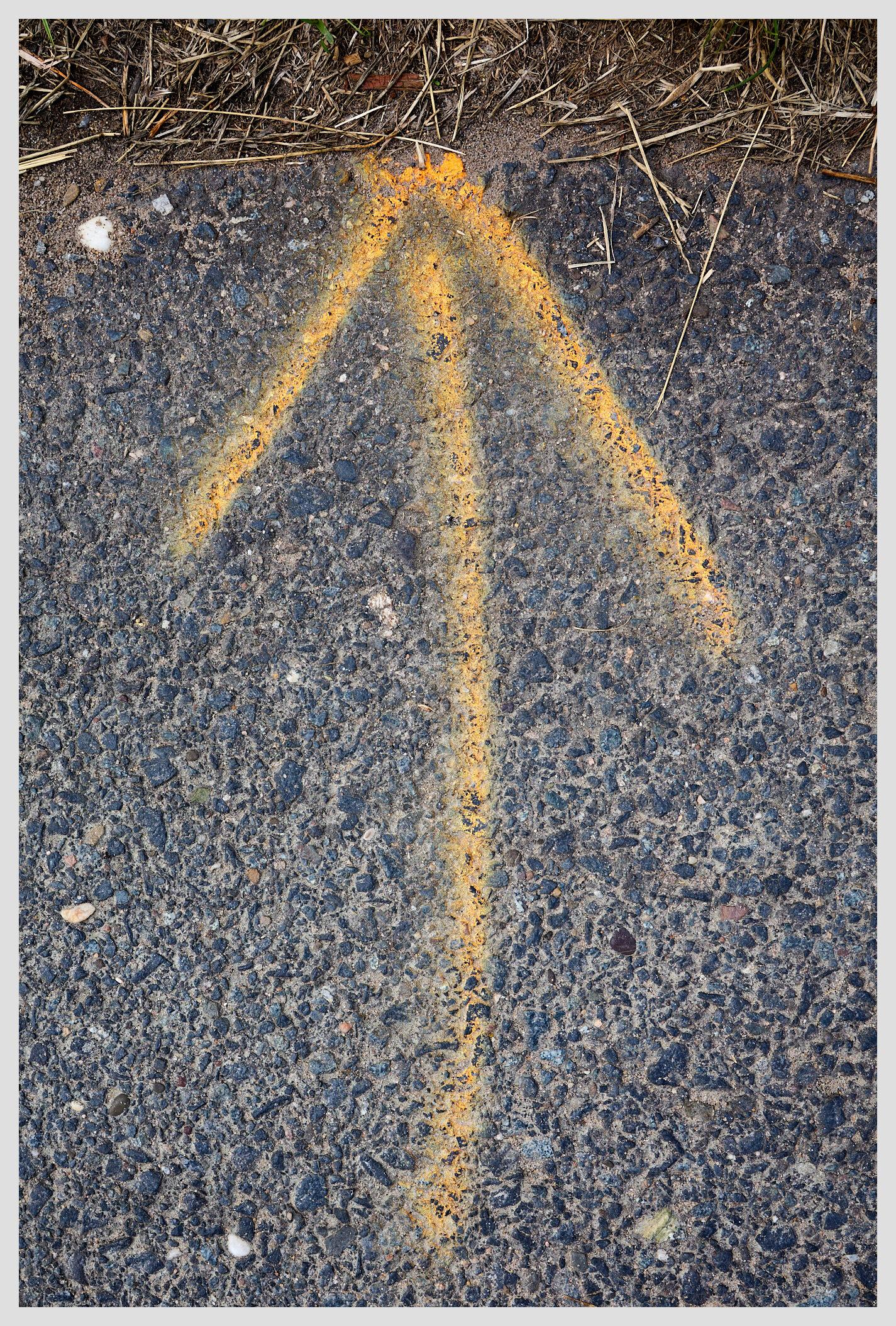 Vertical image of a yellow spray painted arrow on a paved footpath. A small strip of earth is visible at the top of the frame.