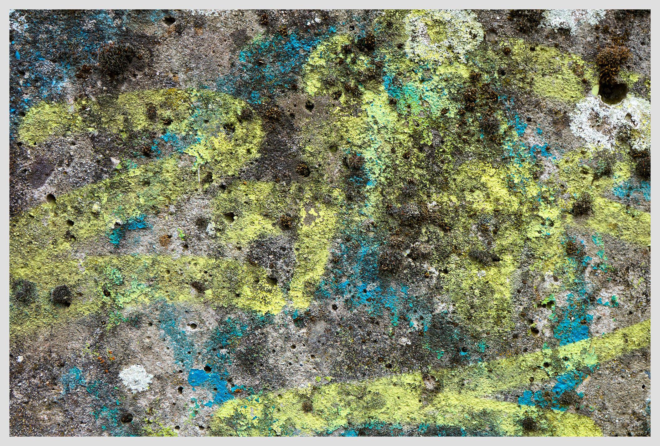 Horizontal closeup of a concrete block with lichen, moss and multiple layers of spray paint.
