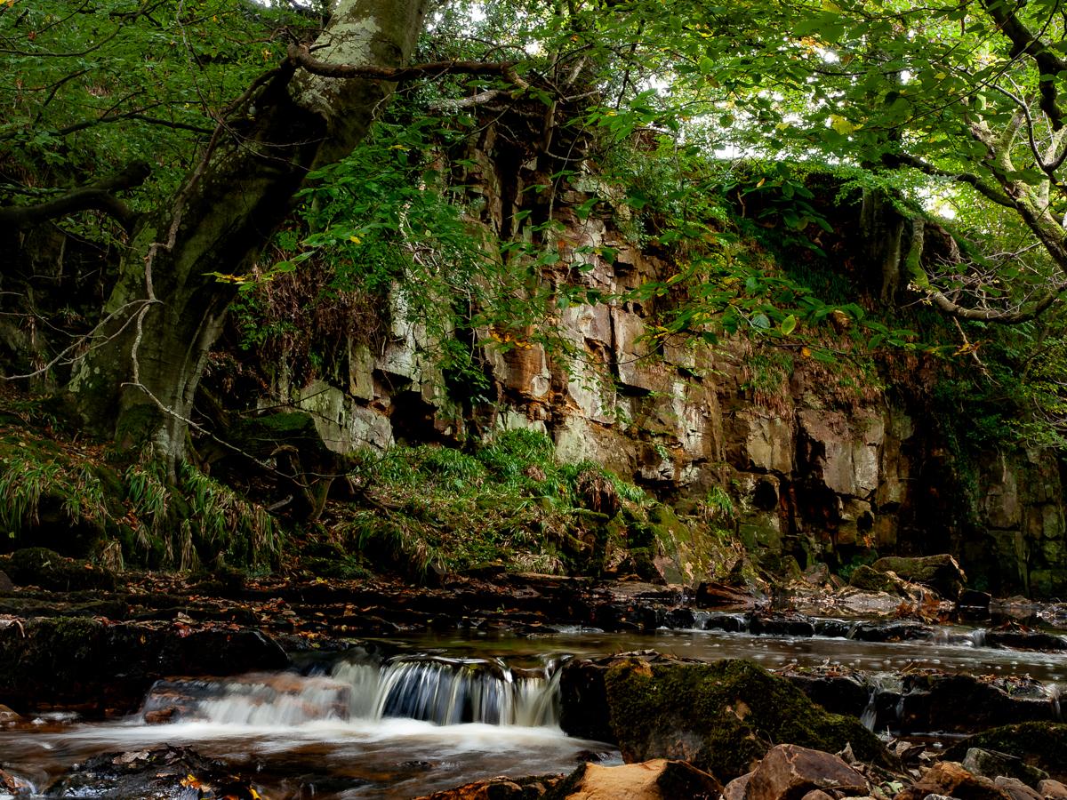 A rocky shallow burn flowing over a small waterfall, past a steep wooded crag.