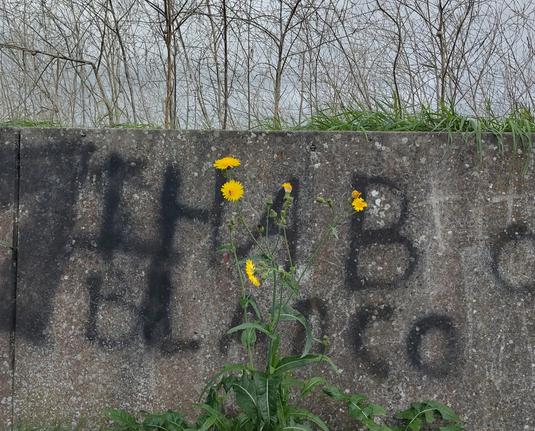 beton, bloemetjes en bijtjes