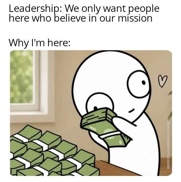 Meme shows a text

Leadership:we only want people here who believe in our mission 

Why I'm here:

Then, a poor picture of a person, eyes widely open, hugging a pile of bill stacks.