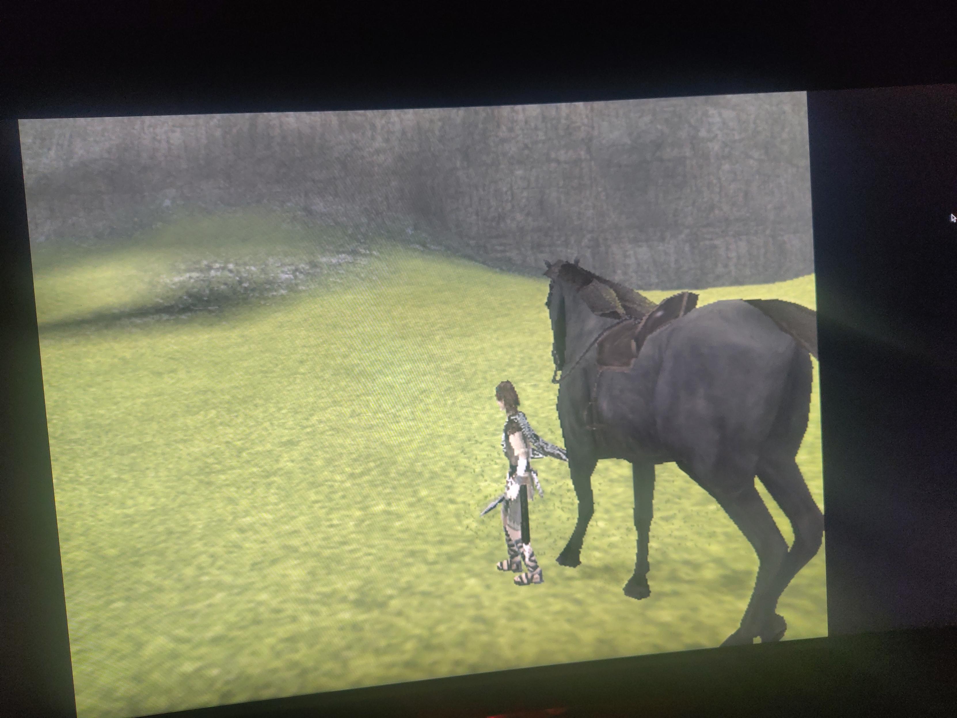 Probando el juego en pcsx2.
Sale un caballo negro